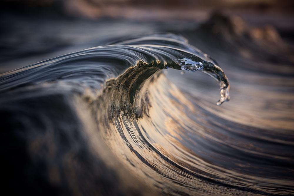 A small wave with a thin crest and falling droplets in the warm light of sunset