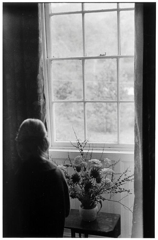 A grey-haired woman by a window looking out at a garden, beside a jug of wildflowers