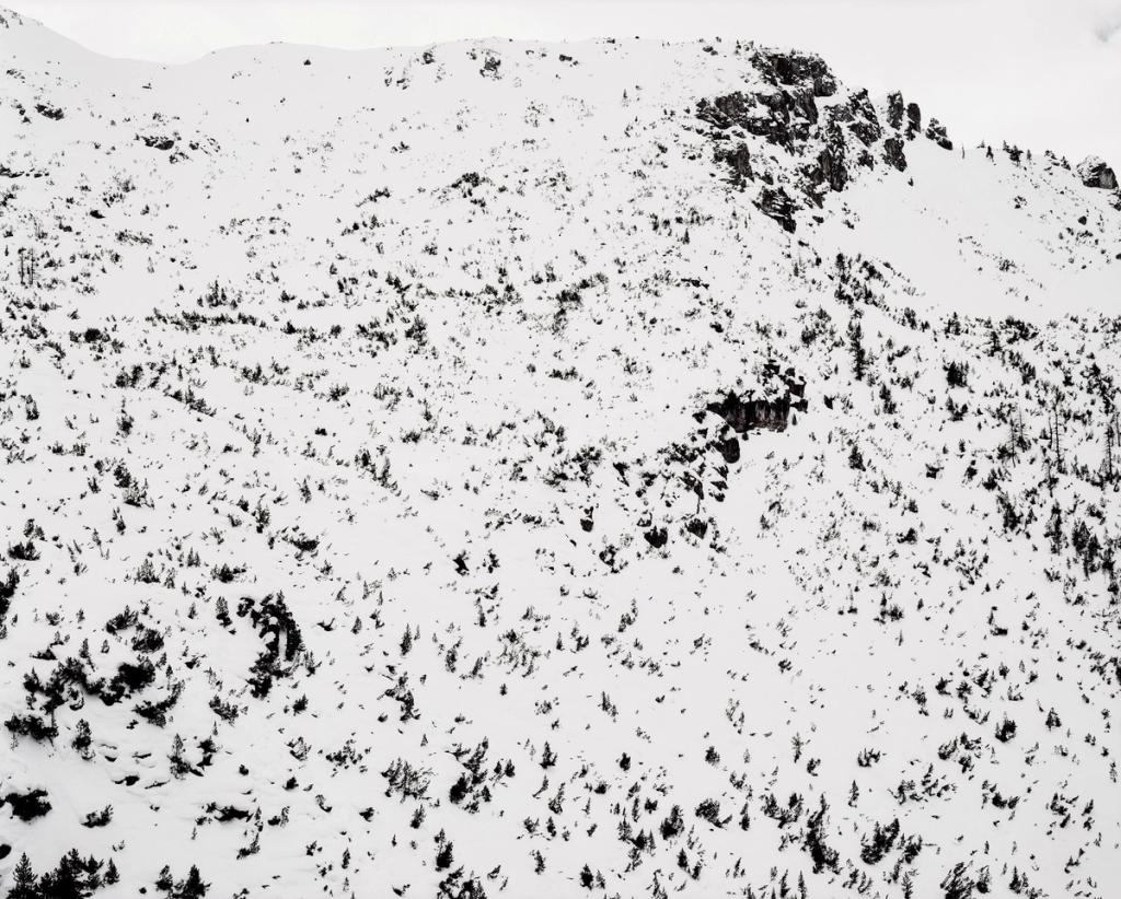 A snow-covered mountain slope with dark rocks and scattered conifers