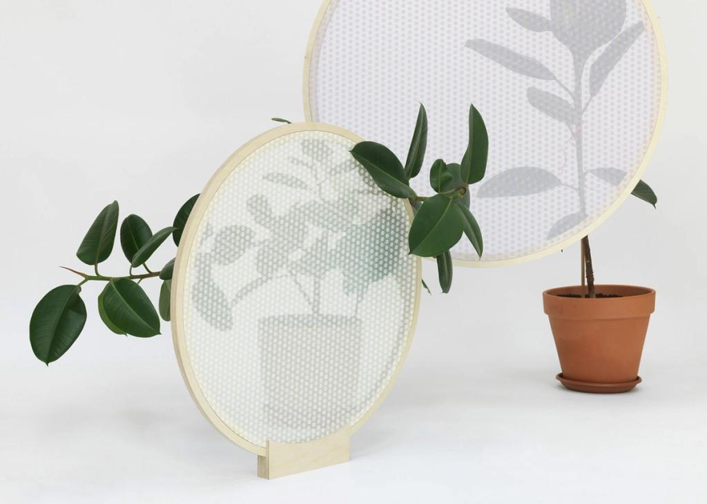 Two round perforated screen panels in wooden frames beside a fiddle-leaf fig in a terracotta pot, designed by Ekaterina Semenova