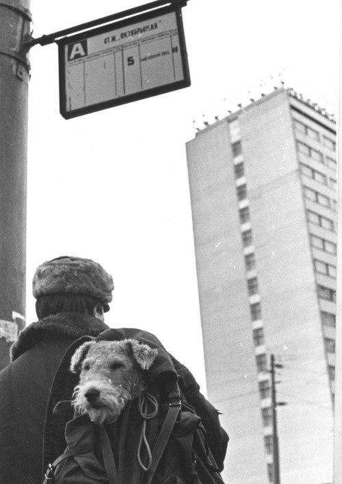 An older girl holds a younger one in her arms; both look into the camera