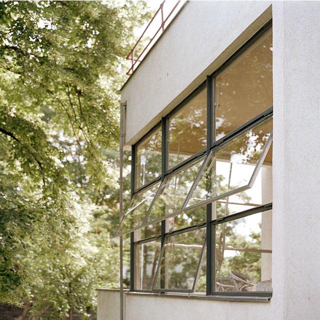 The white wall of Auerbach House with ribbon glazing and open angled casements against a backdrop of trees