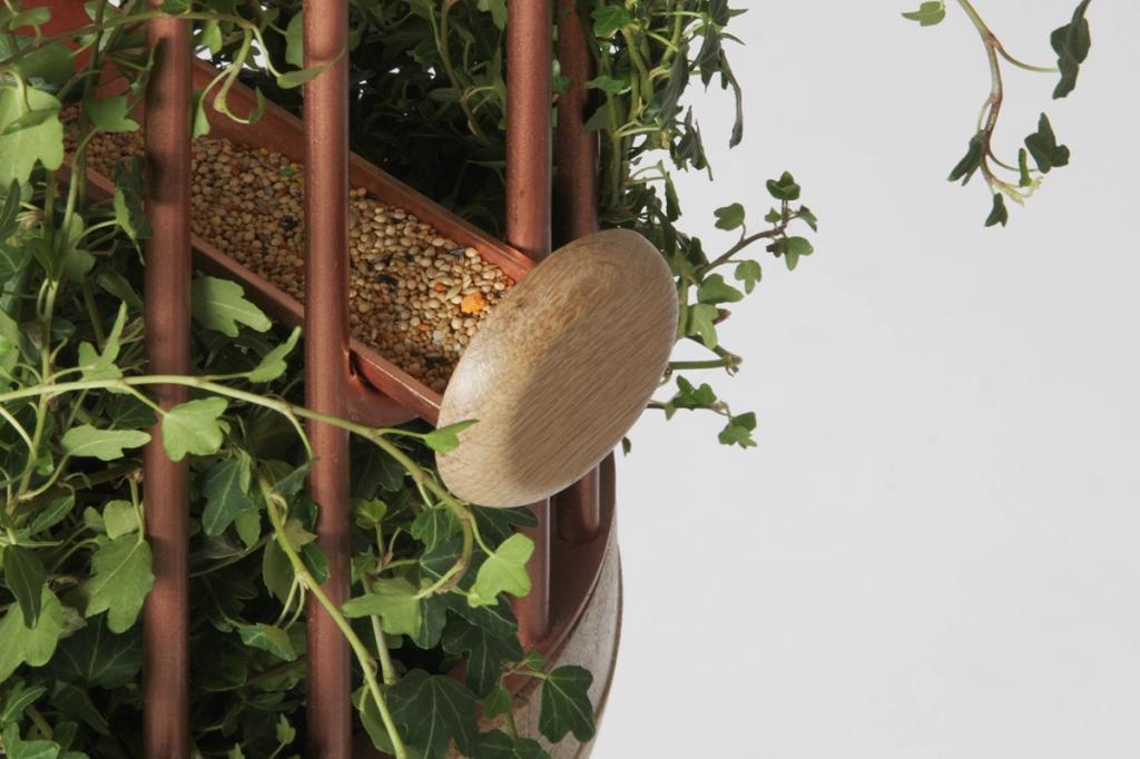 Detail of a hanging planter with copper rods, a seed feeder and a wooden platform nestled among ivy