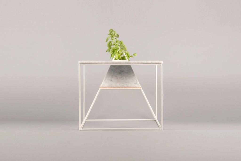 Maxim Shcherbakov's coffee table with a white metal frame and a marble top in which basil is growing
