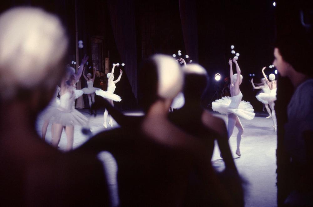 Ballerinas in white tutus on stage, an audience seen from behind in the foreground