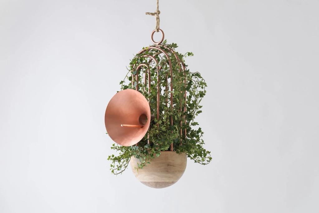 Katya Tolstykh's hanging planter made from copper arcs and a wooden bowl, planted with ivy and fitted with a copper reflector