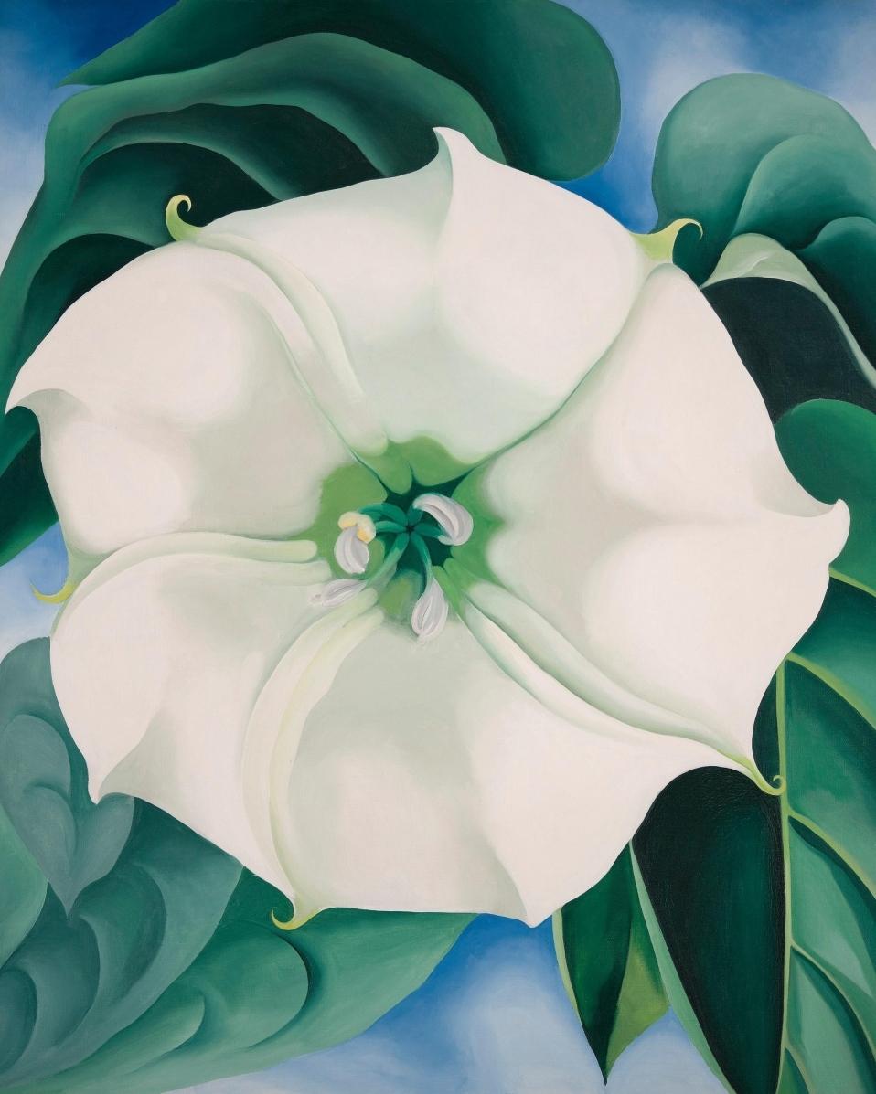 O'Keeffe's painting: a white jimsonweed flower against green leaves and a blue sky