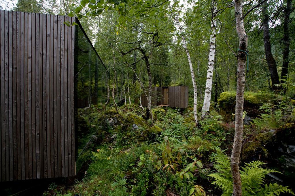 Деревянный домик Juvet Landscape Hotel и берёзы во влажном зелёном лесу