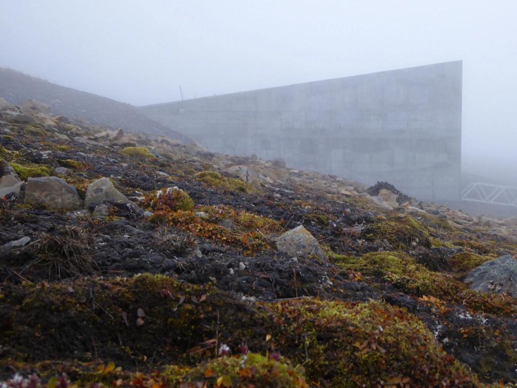 The grey concrete wedge of the vault entrance in mist above a rocky tundra of moss and lichen