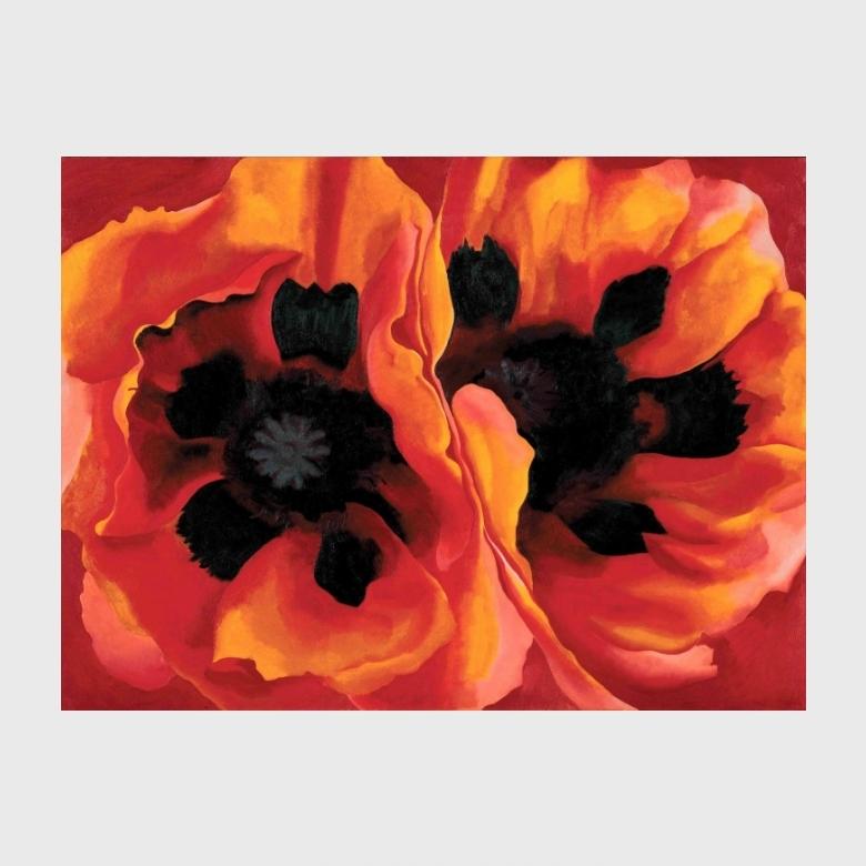O'Keeffe painting: two red-orange Oriental poppies with black centres