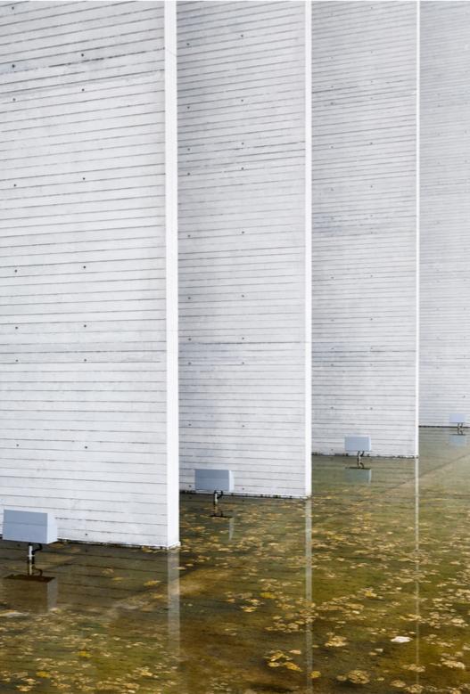 The concrete pillars of the Mondadori building reflected in a pool scattered with autumn leaves