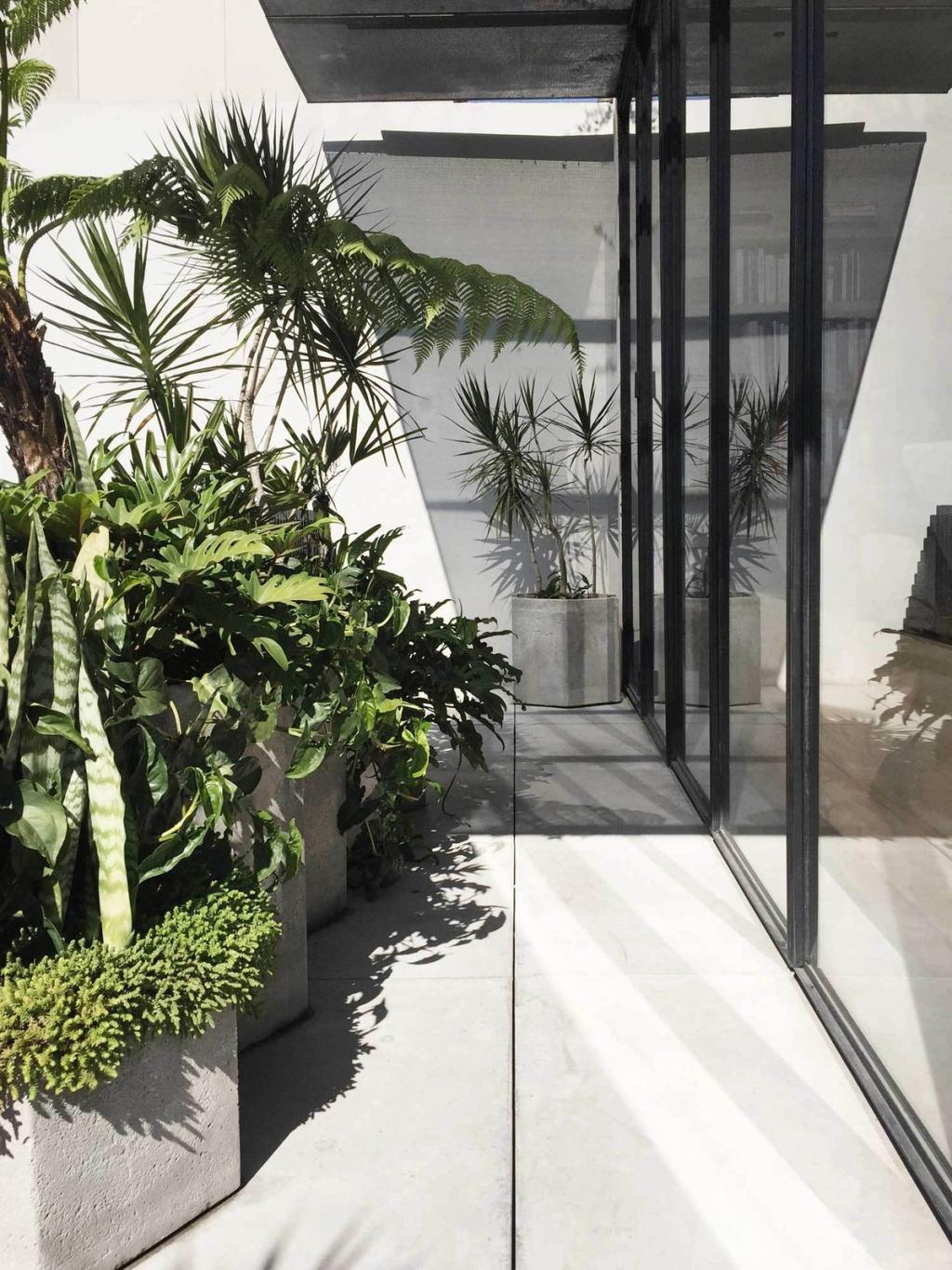 organic architecture