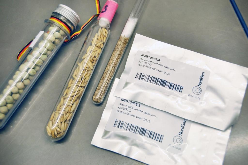 Glass test tubes containing pea and cereal seeds alongside labelled, barcoded packets