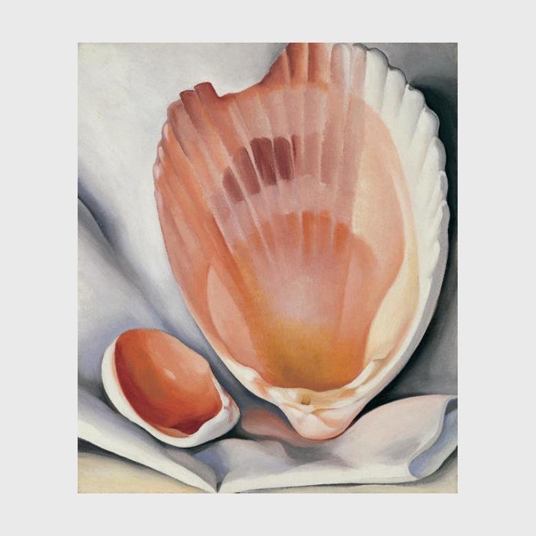 O'Keeffe painting: a pink scallop shell on grey fabric