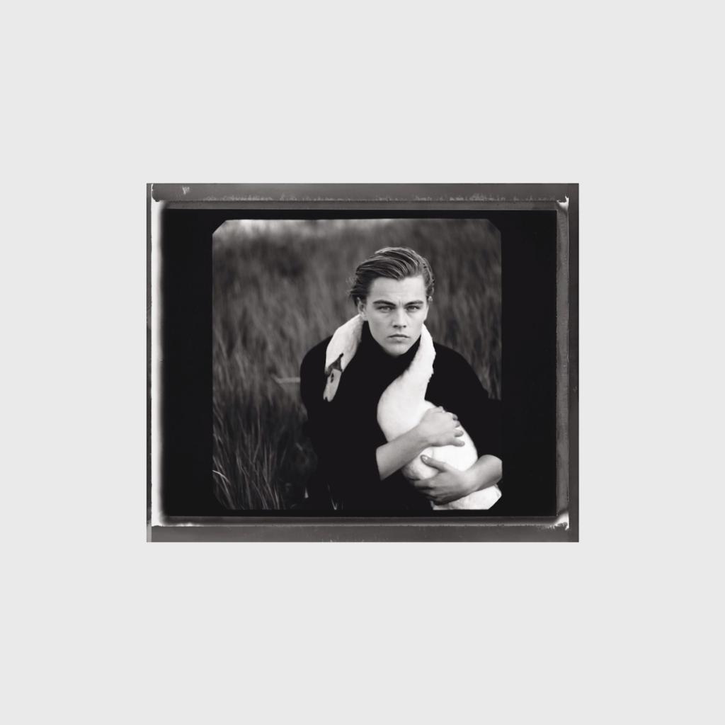 A black-and-white portrait of a young Leonardo DiCaprio embracing a swan among reeds