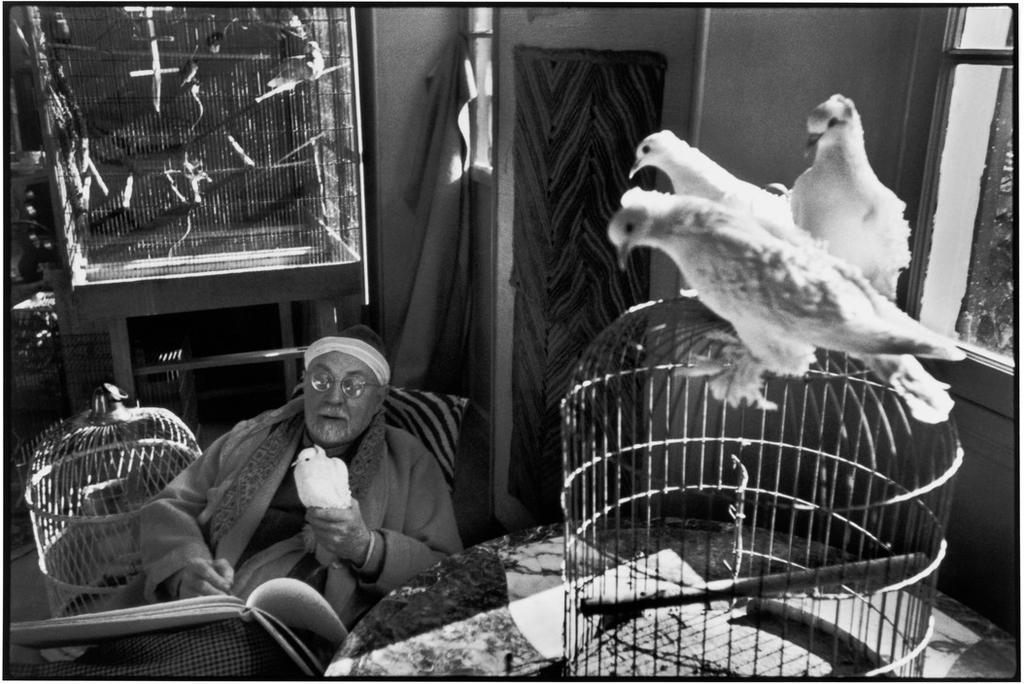 Artist Henri Matisse holds a dove in his hands in a room filled with birdcages