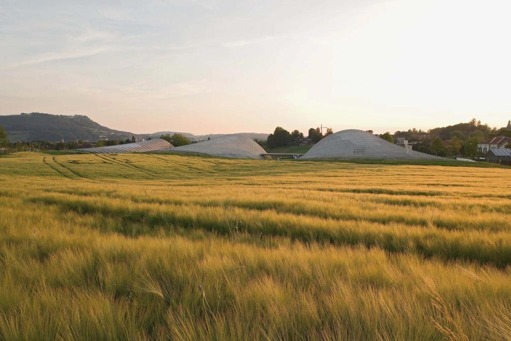 The Paul Klee Centre in Switzerland continues the rolling landscape and echoes the painter's canvases.