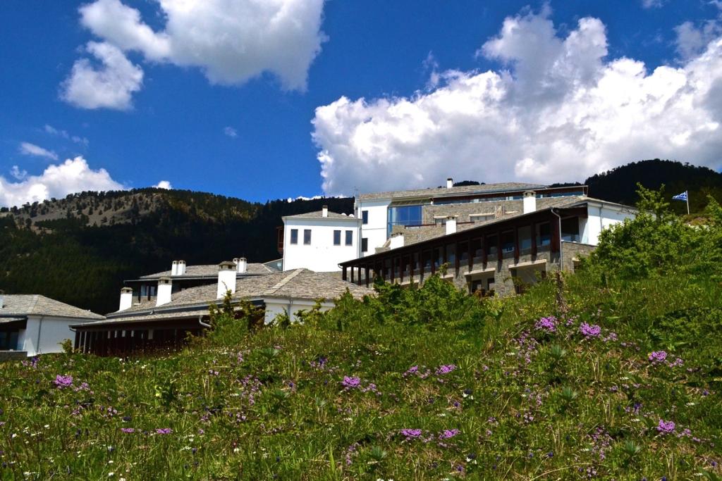 The white stone buildings of Grand Forest Metsovo on a hillside with a flowering meadow in Greece