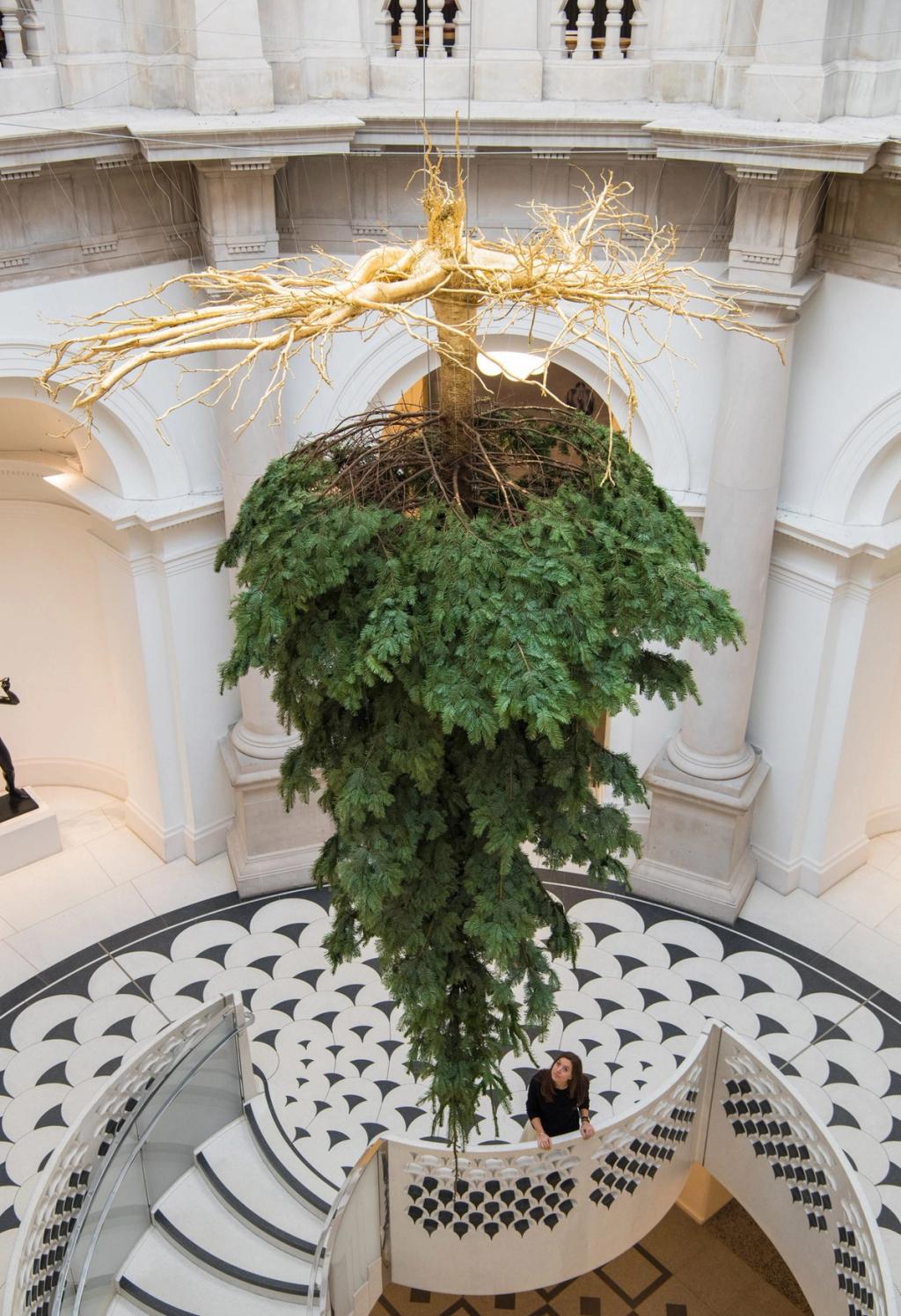 Christmas trees