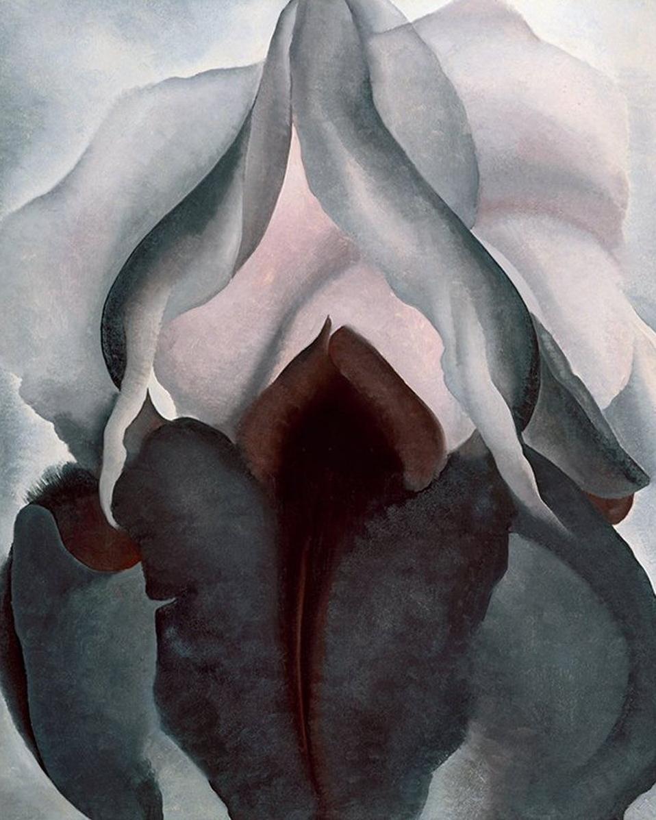 O'Keeffe's painting Black Iris: a dark burgundy and grey flower in close-up