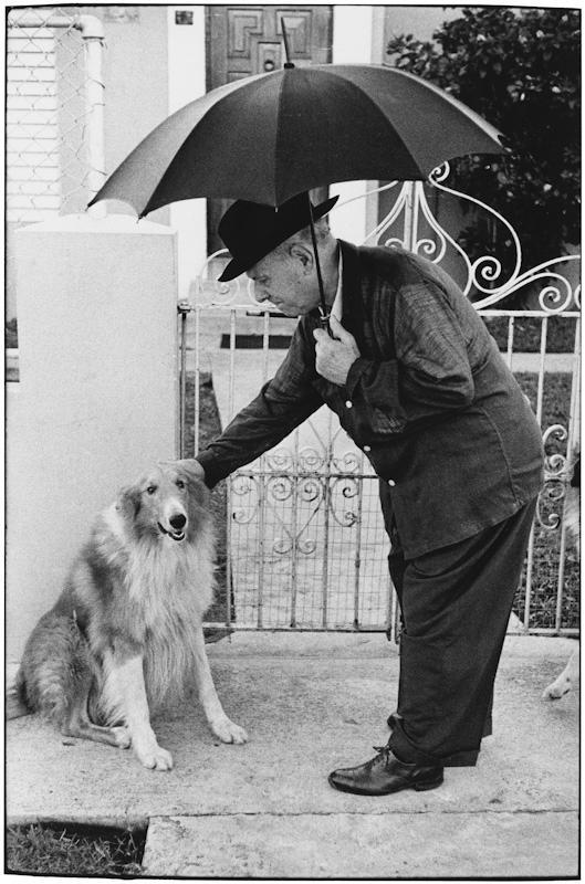 An elderly man in a hat, sheltering under an umbrella, bending down to stroke a sitting collie
