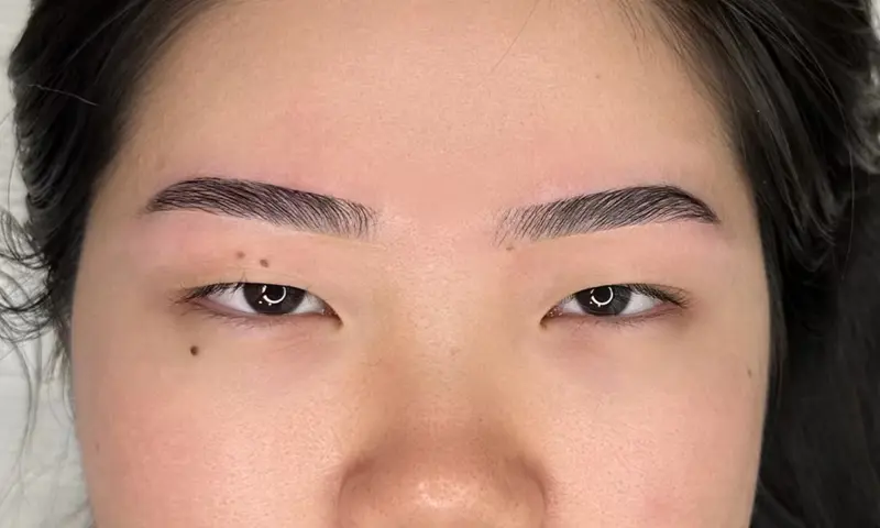 Brows after lamination treatment - fluffy lifted natural results