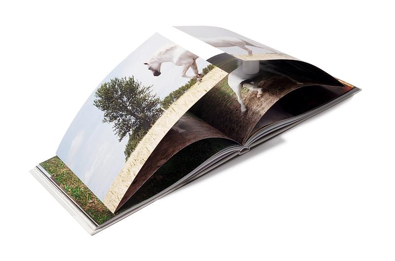 The White Horse by Mary McCartney