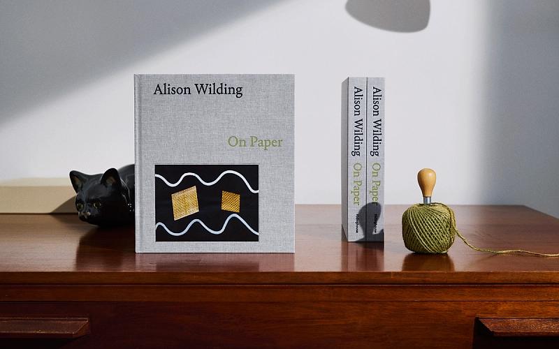 Alison Wilding: On Paper