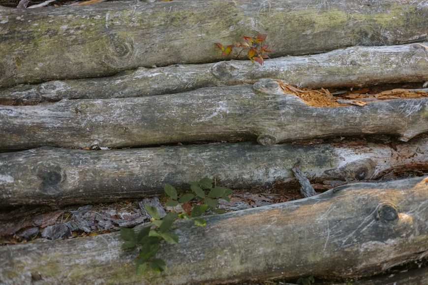 Logs-and-Stones