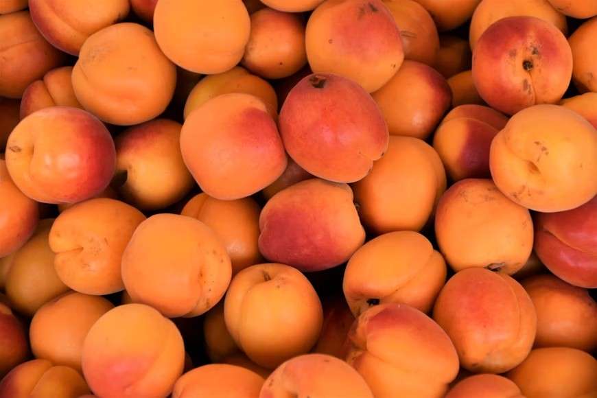 Featured image for: Health Benefits of Apricots: Nutrition & How to Enjoy Them