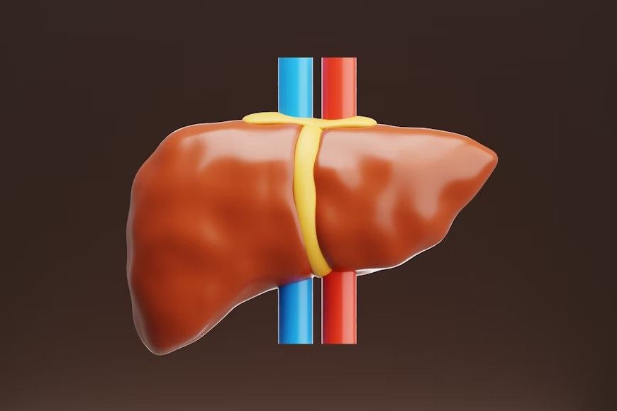 cancer-lever