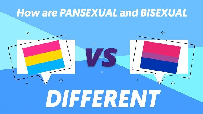 pansexual-vs-bisexual