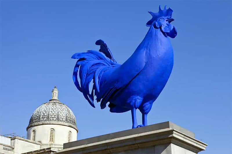 Larger Than Life: Hahn-Cock Takes Flight to Washington D.C.