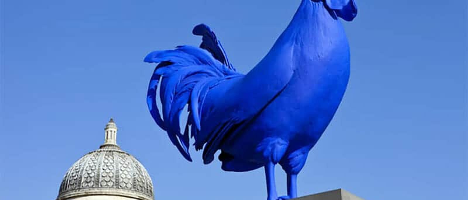 Larger Than Life: Hahn-Cock Takes Flight to Washington D.C.