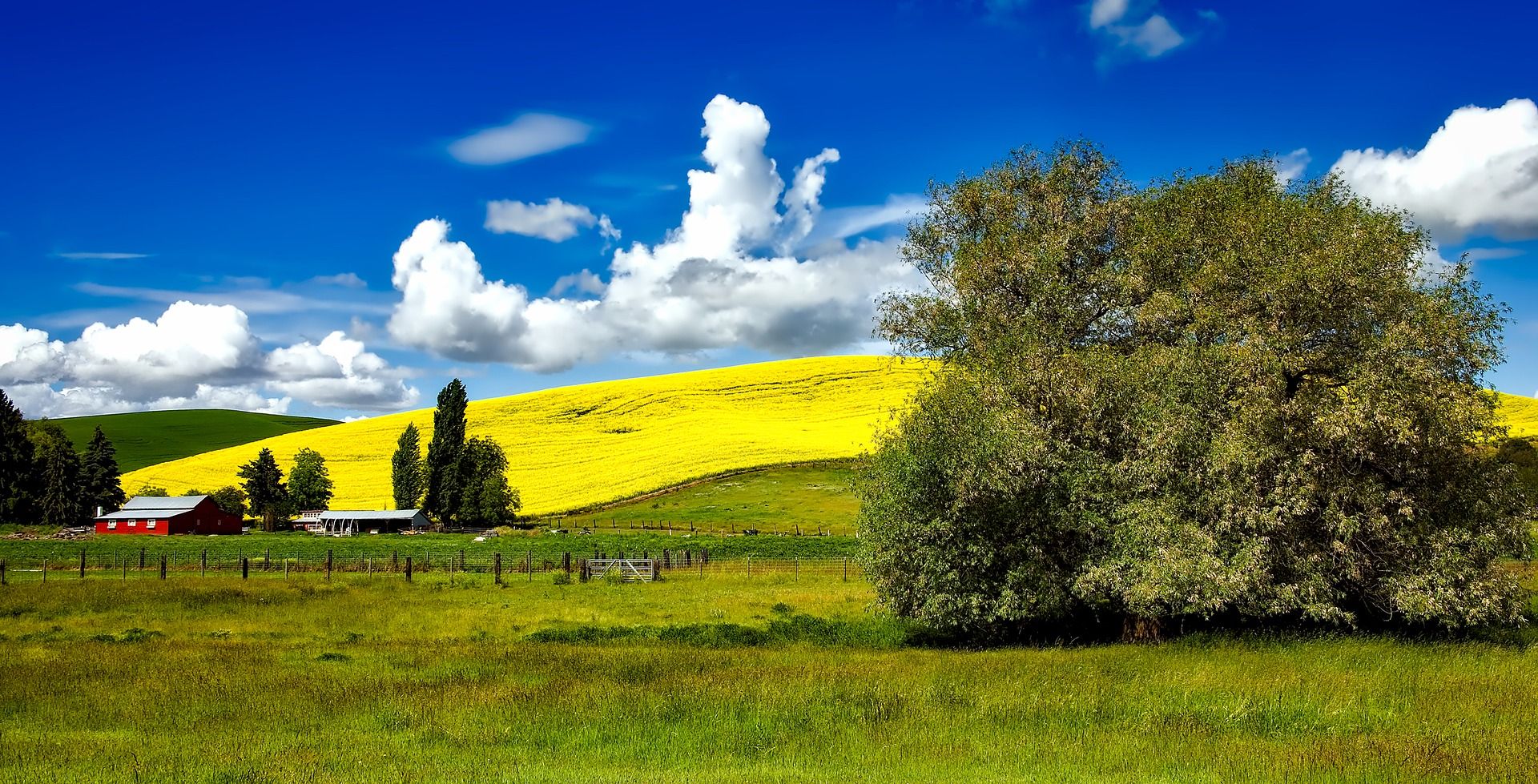 2019 National Movers Study Reveals Idaho as a Top Moving Destination