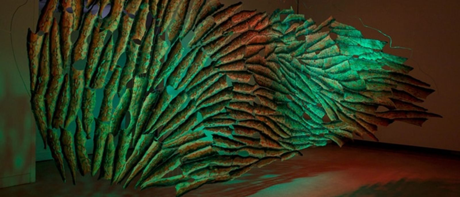 VIP Transports Natural Art Exhibit