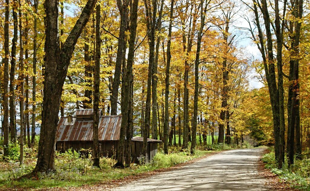 United Van Lines 46th Annual National Movers Study Reveals Where and Why Americans Moved in 2022