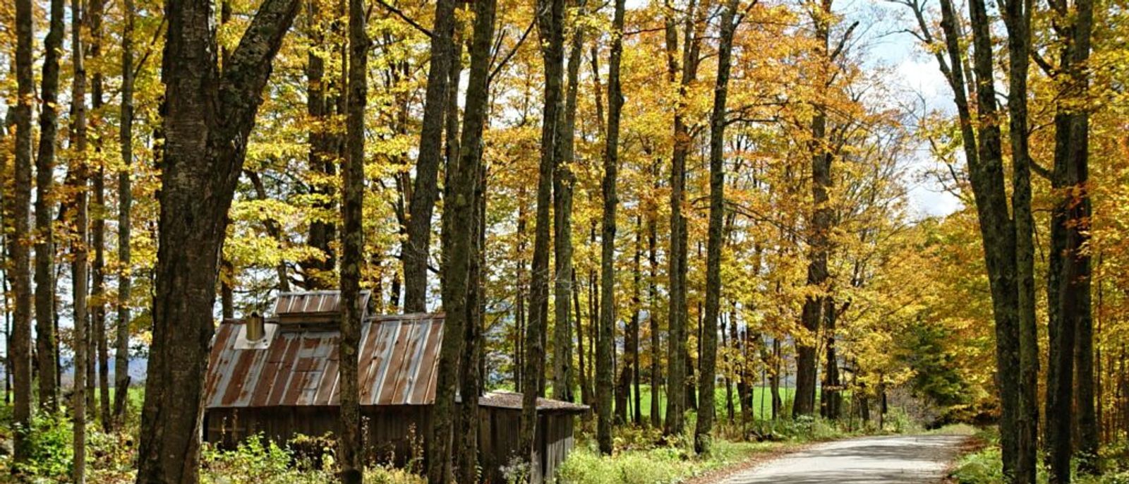 United Van Lines 46th Annual National Movers Study Reveals Where and Why Americans Moved in 2022