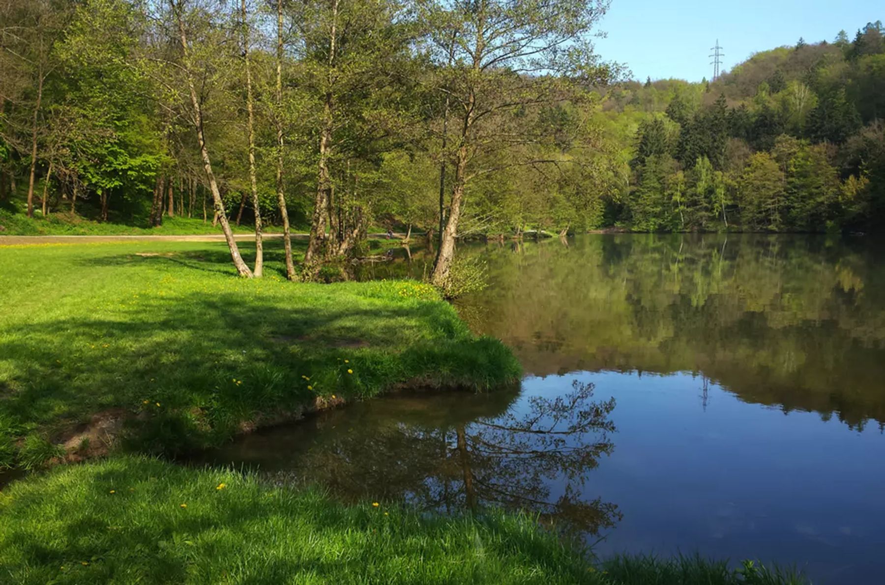 Když si potřebuješ odpočinout od města: Lesy nad Pisárkami – titulní fotografie