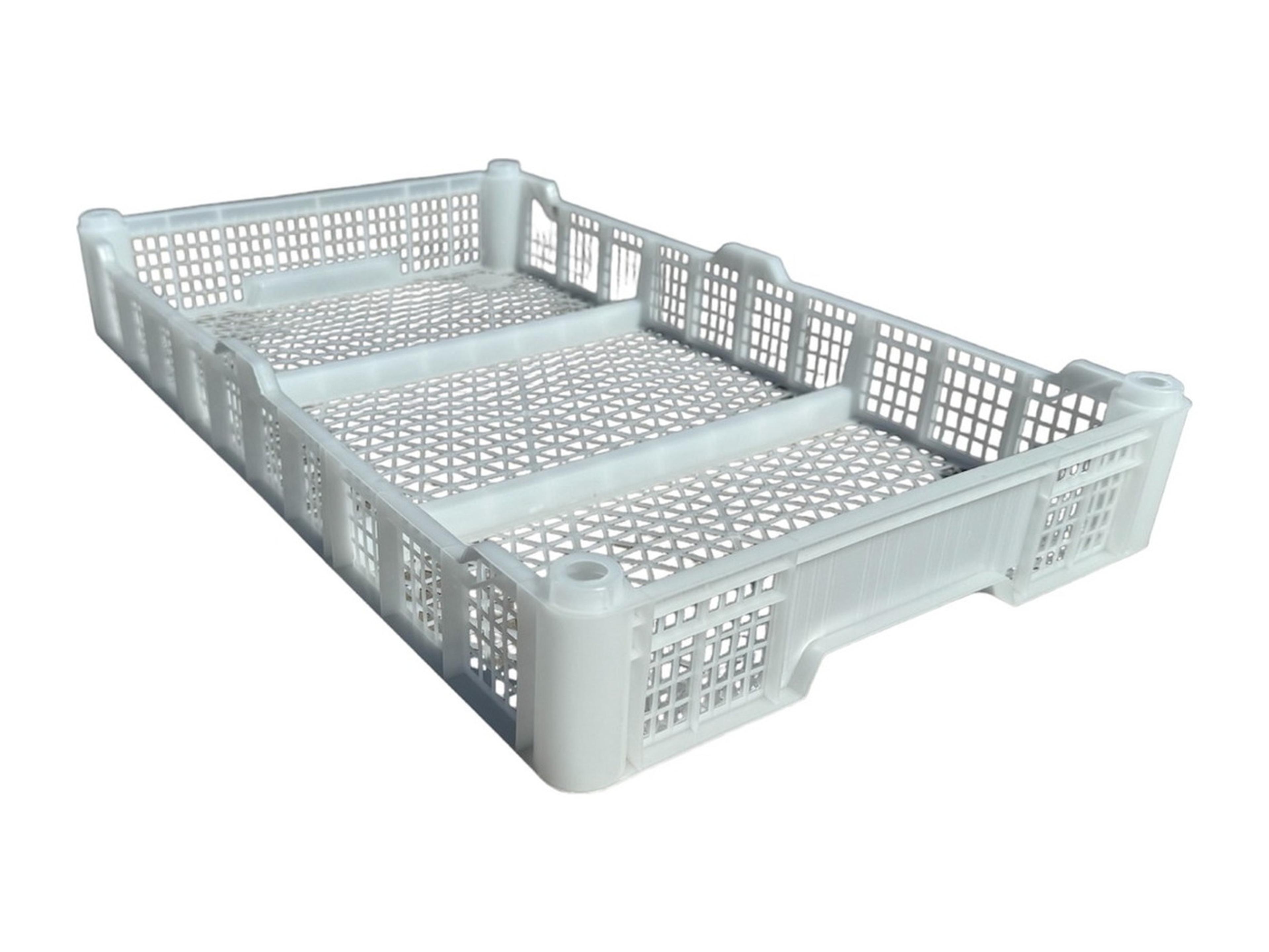 Caja Expo Arandanos 500x300x67 K4