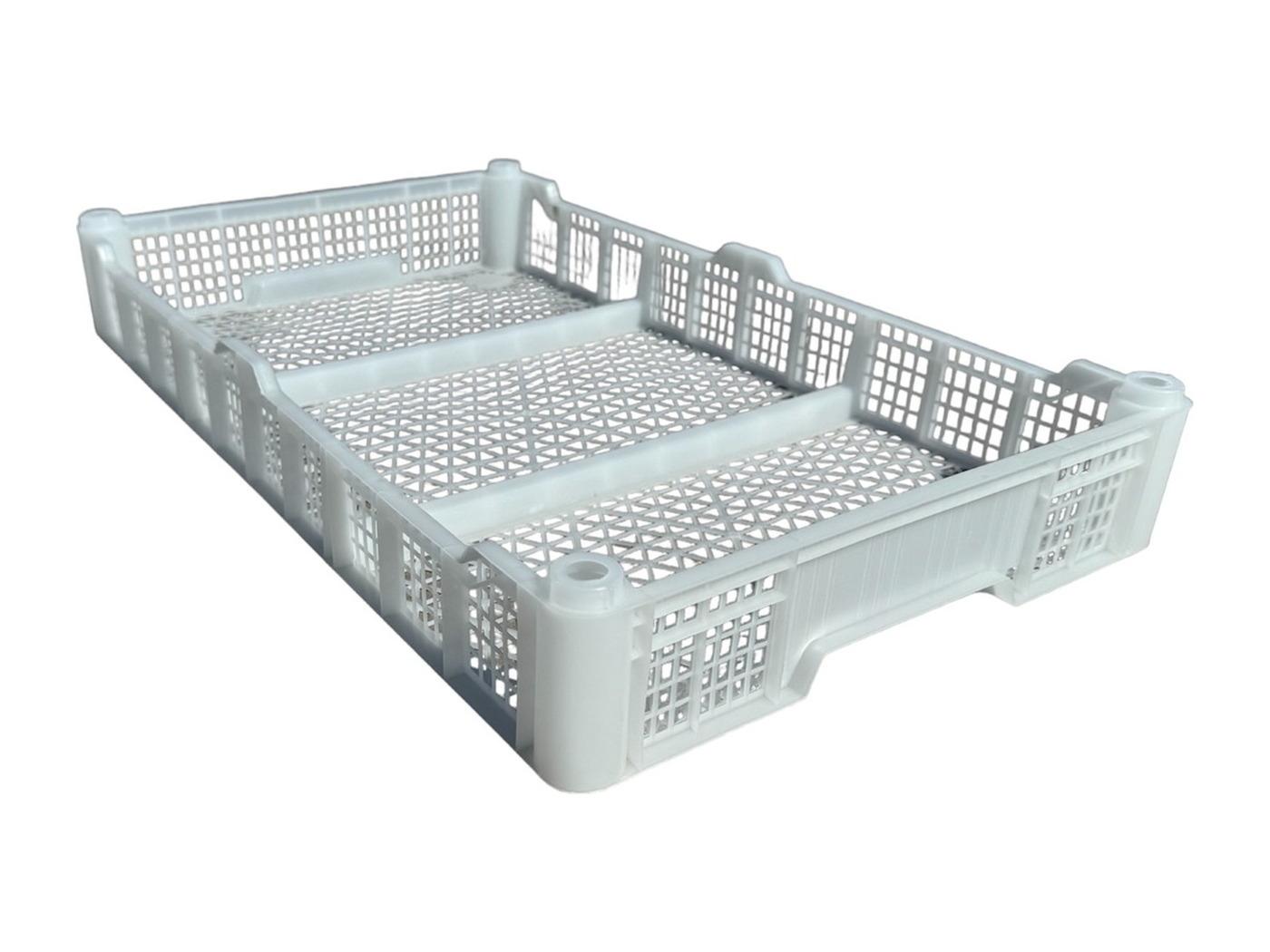 Caja Expo Arandanos 500x300x67 K4