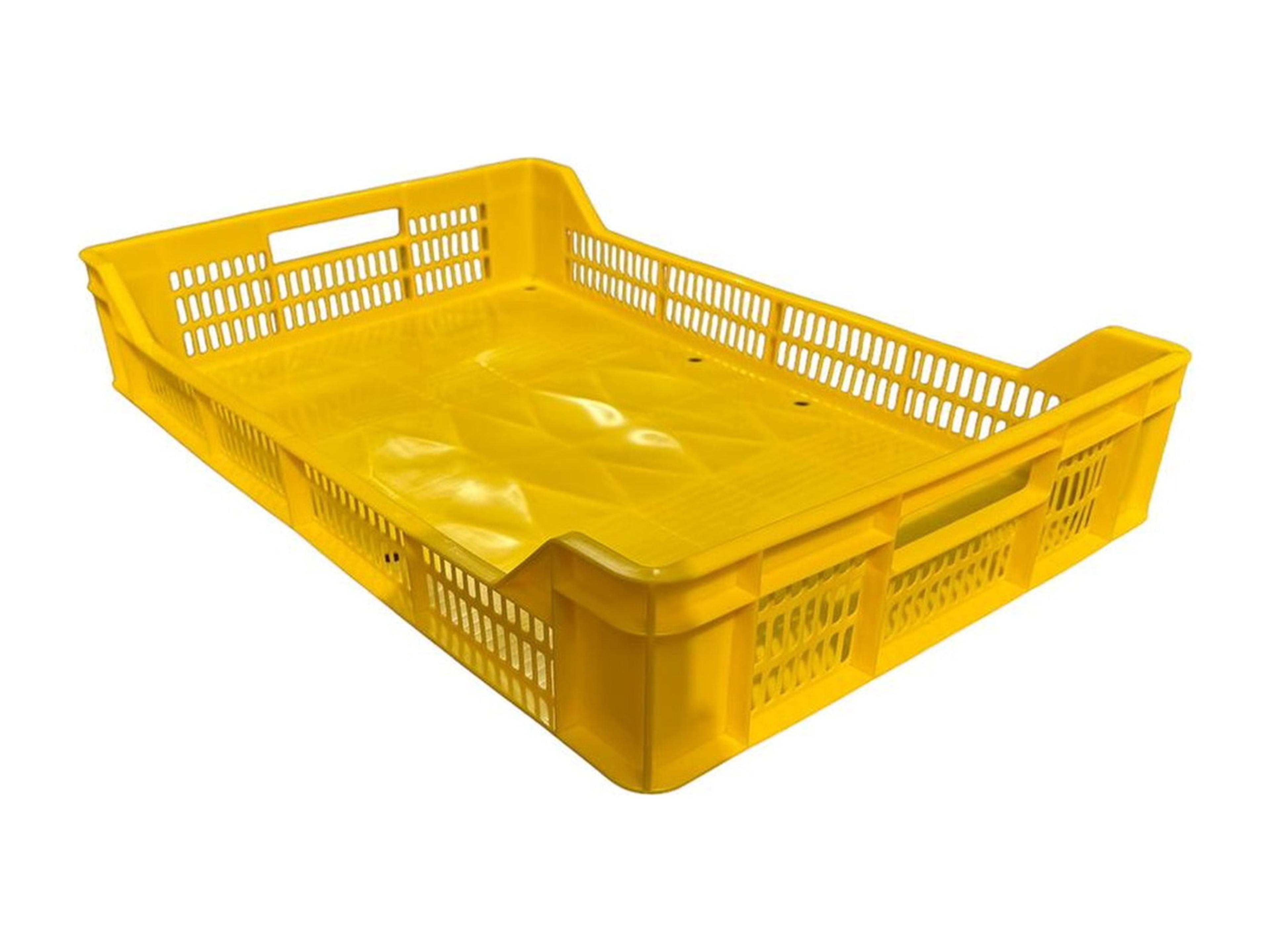 Caja Frutilla IQF Fondo Cerrado