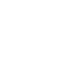 Flowith Logo