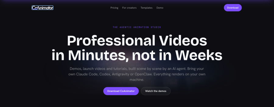 Coanimator Video interface