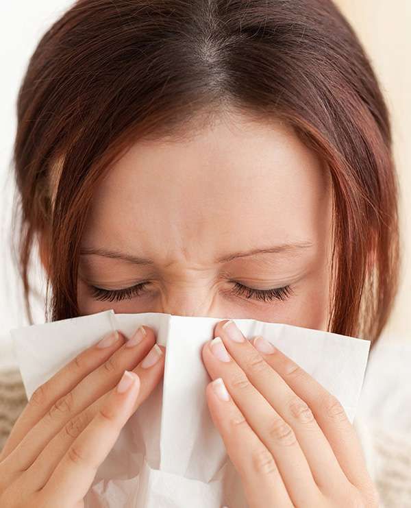 Allergen Removal — All Pro Chem-Dry