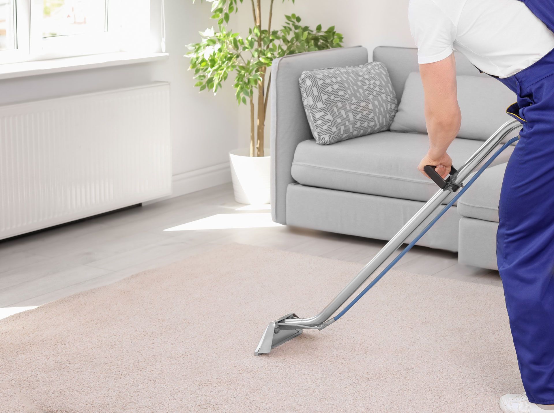 What is Best Carpet Cleaner for Area Rugs?
