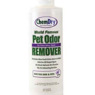 Professional Pet Odor Remover
