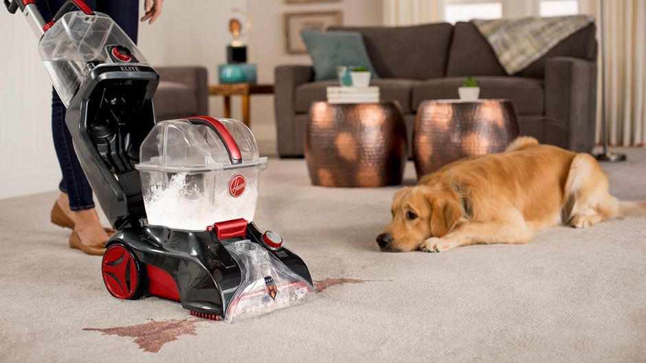 What is Best Carpet Cleaner for Dog Urine?