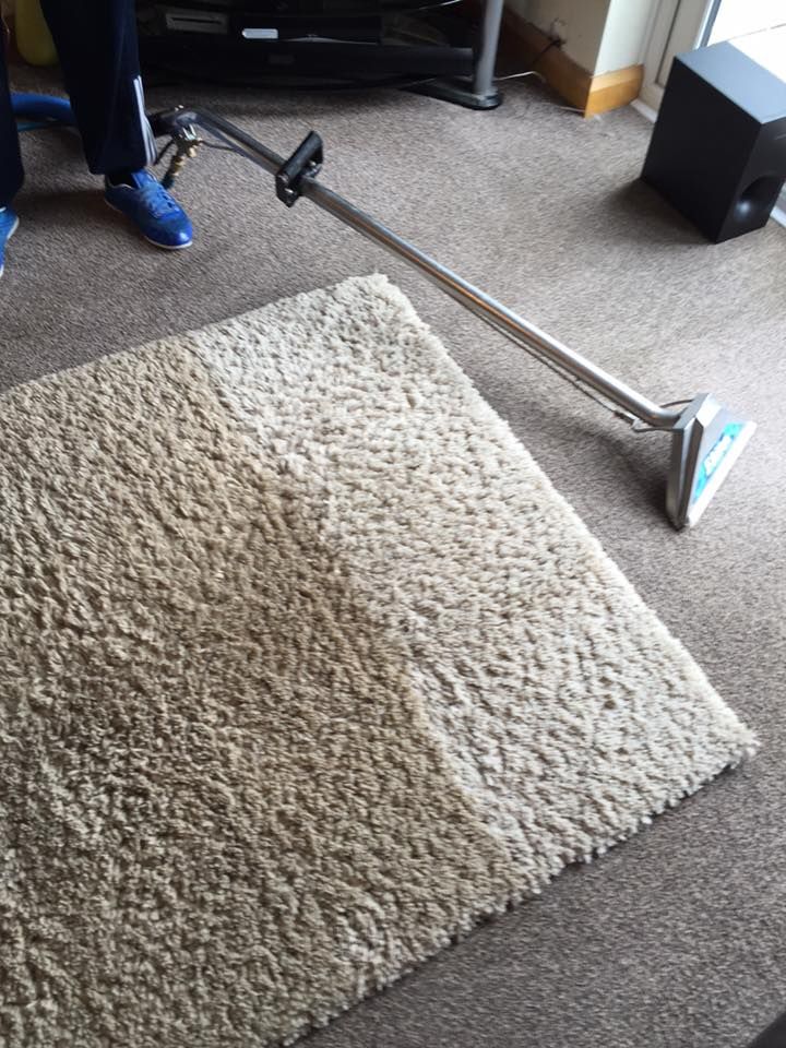 Area Rug Cleaning