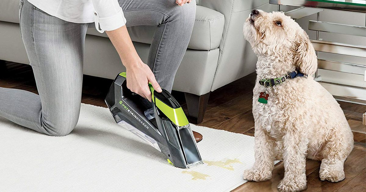 What is Best Carpet Cleaner for Pets?